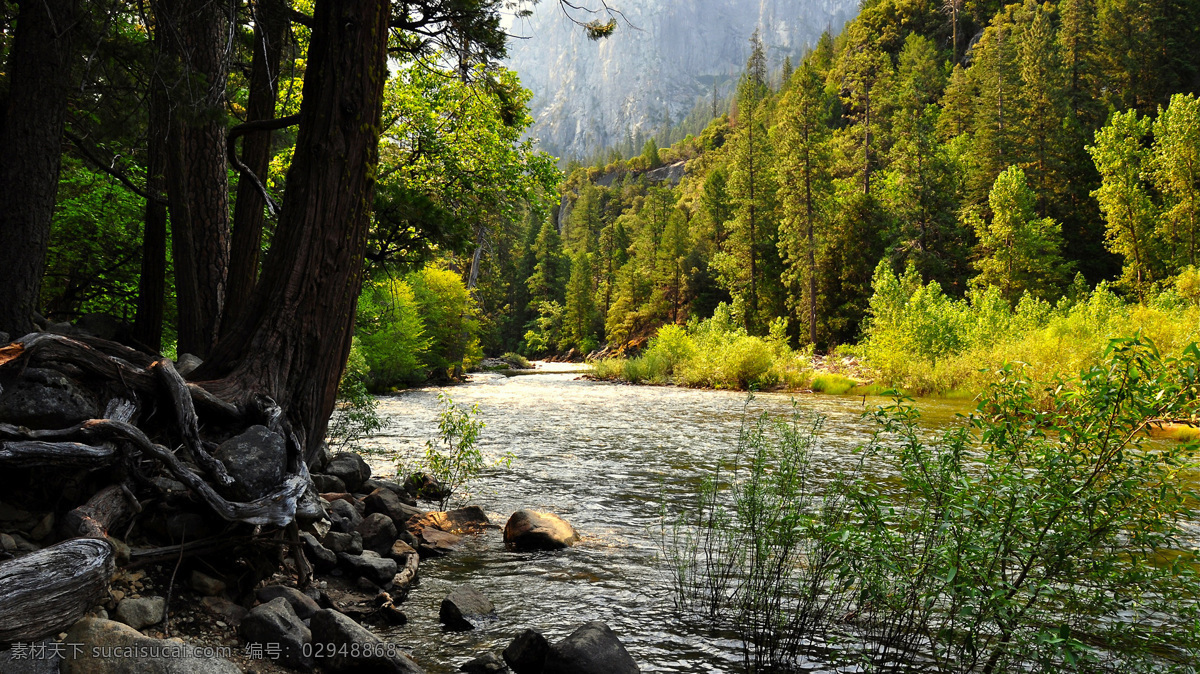 清新自然风景 自然 自然美景 自然风景 风景 自然景观