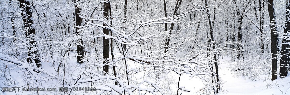 风景 背景图 宽屏 树林 雪景 雪林 自然景观 自然风景