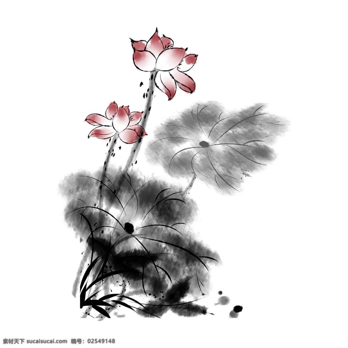 水墨 唯美 荷花 透明 水彩 免 扣 花朵 透明素材 卡通素材