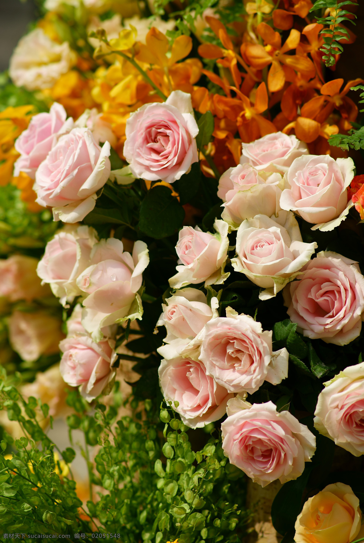 玫瑰 花 花卉 植物 婚礼 婚礼装饰 鲜花 生物世界 花草