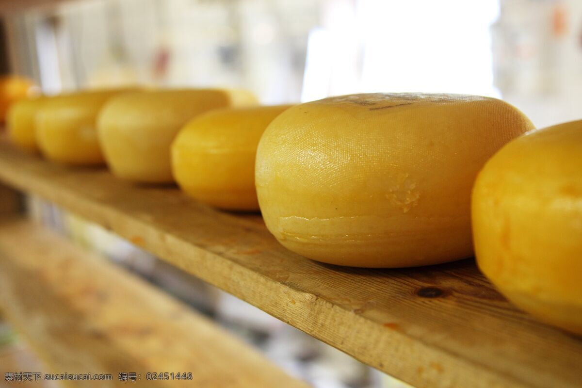 椭圆形奶酪 奶酪 乳制品 吃 食品 椭圆形