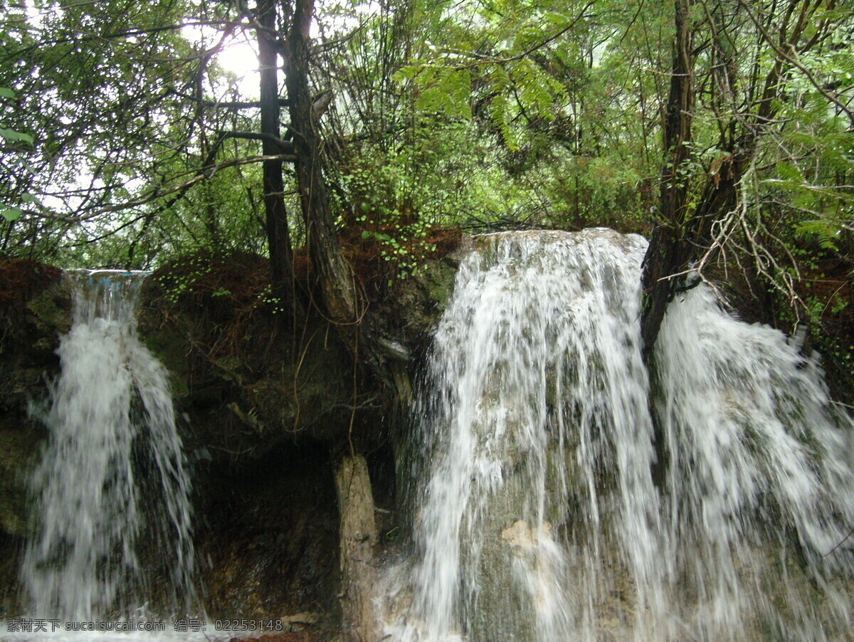九寨 风光 九寨沟 瀑布 瀑布风景 瀑布风景图片 树木 九寨风光 风景 生活 旅游餐饮