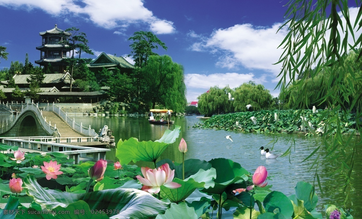 分层 飞鸽 风景 风景画 拱桥 荷花 蓝天白云 柳枝 模板下载 西湖美景 游船 楼阁 源文件库 装饰素材 山水风景画