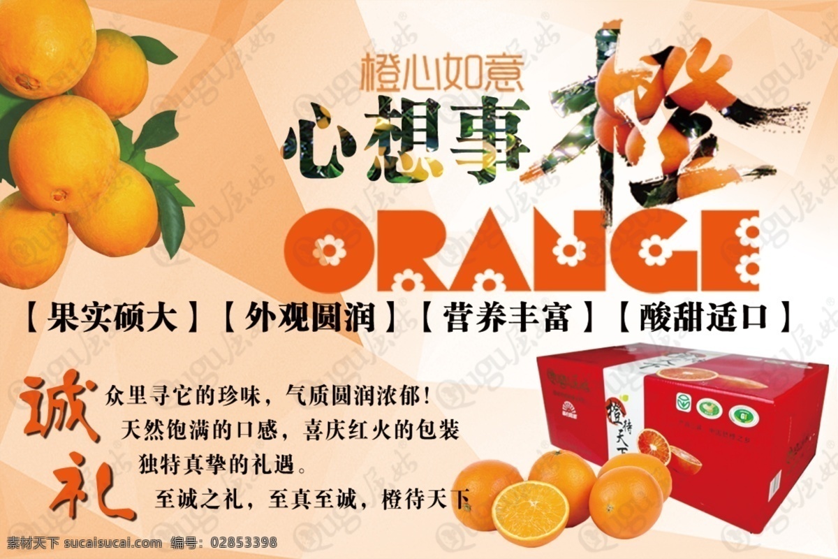 心想事橙 橙子 脐橙 礼盒 水果 背景 分层