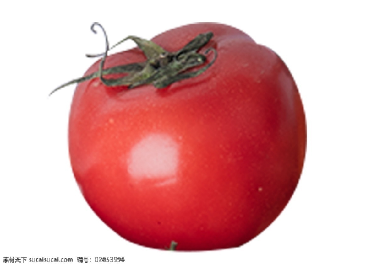 大 西红柿 完整 一个 红色 食材 营养