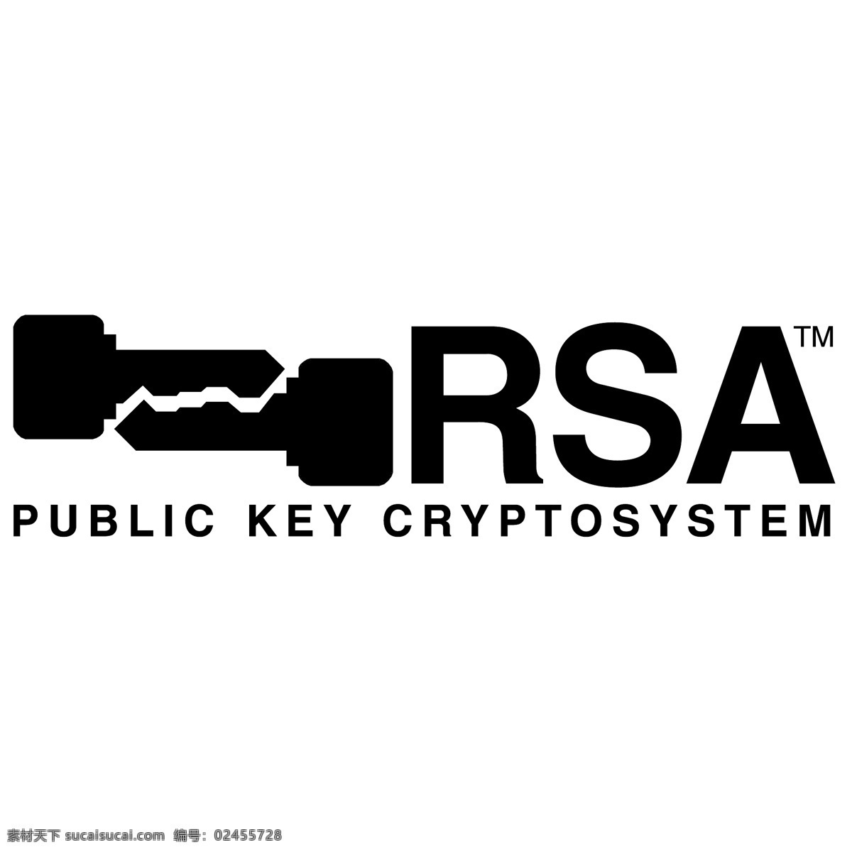 免费 rsa rsa的标志 标志 白色