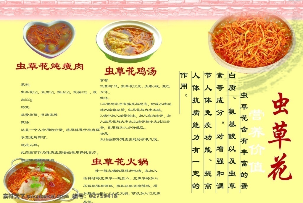 虫草花简介 虫草花 简介 重要 滋补 药膳