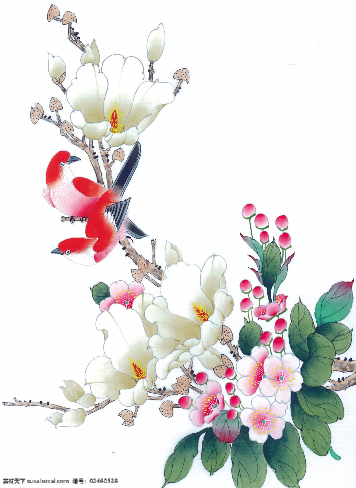 国画花卉 花卉 白描 工笔花卉 工笔画 国画素材 文化艺术 绘画书法
