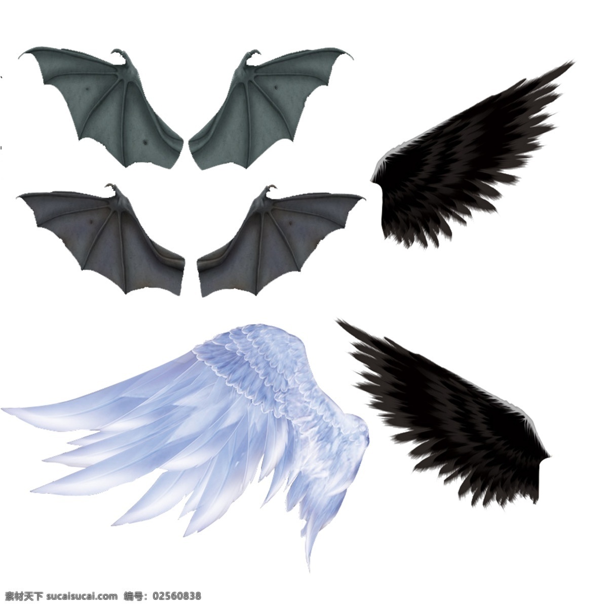 恶魔翅膀 天使翅膀 羽翼 蝙蝠翅膀 鸟翅膀 生物世界 鸟类