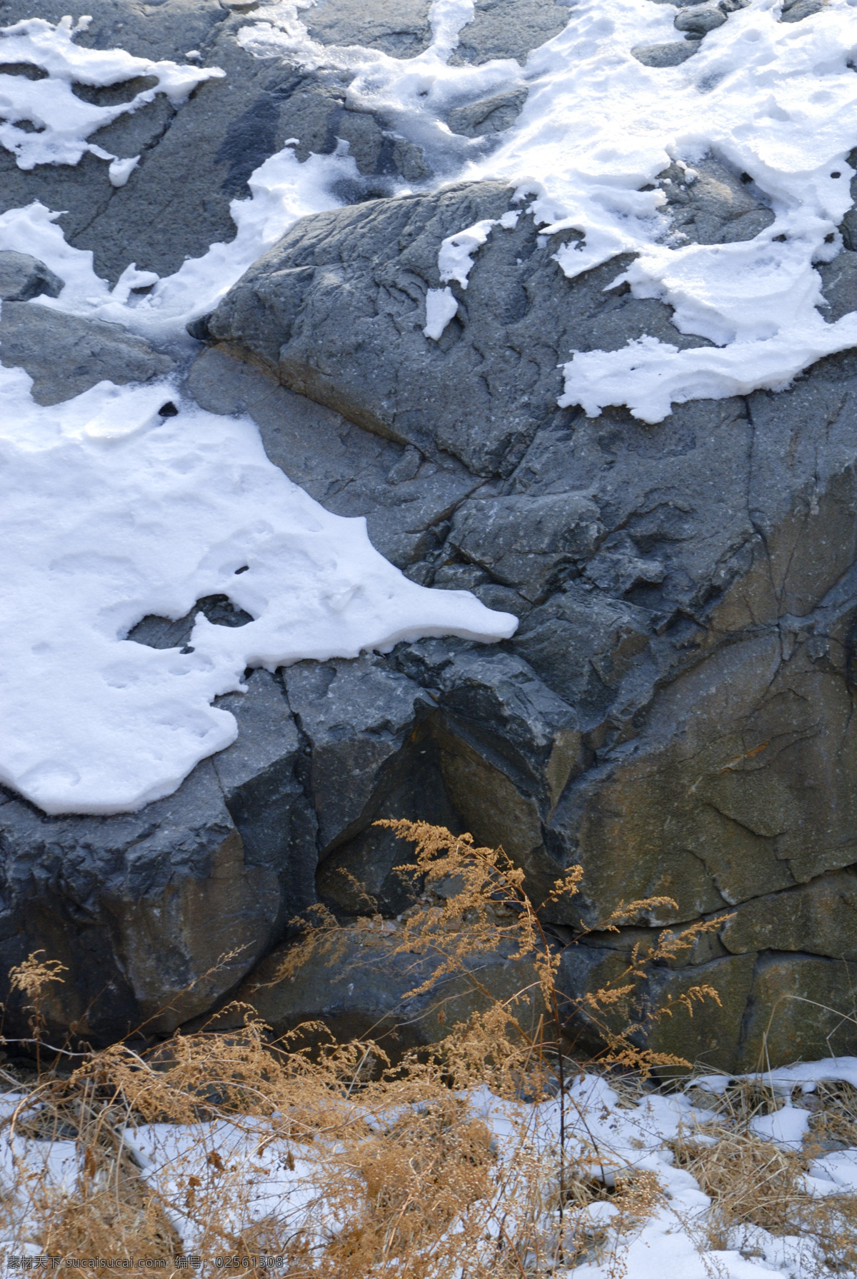 白雪 下 青色 岩石 大山 青色岩石 野草 泰山雪景 自然风景 自然景观