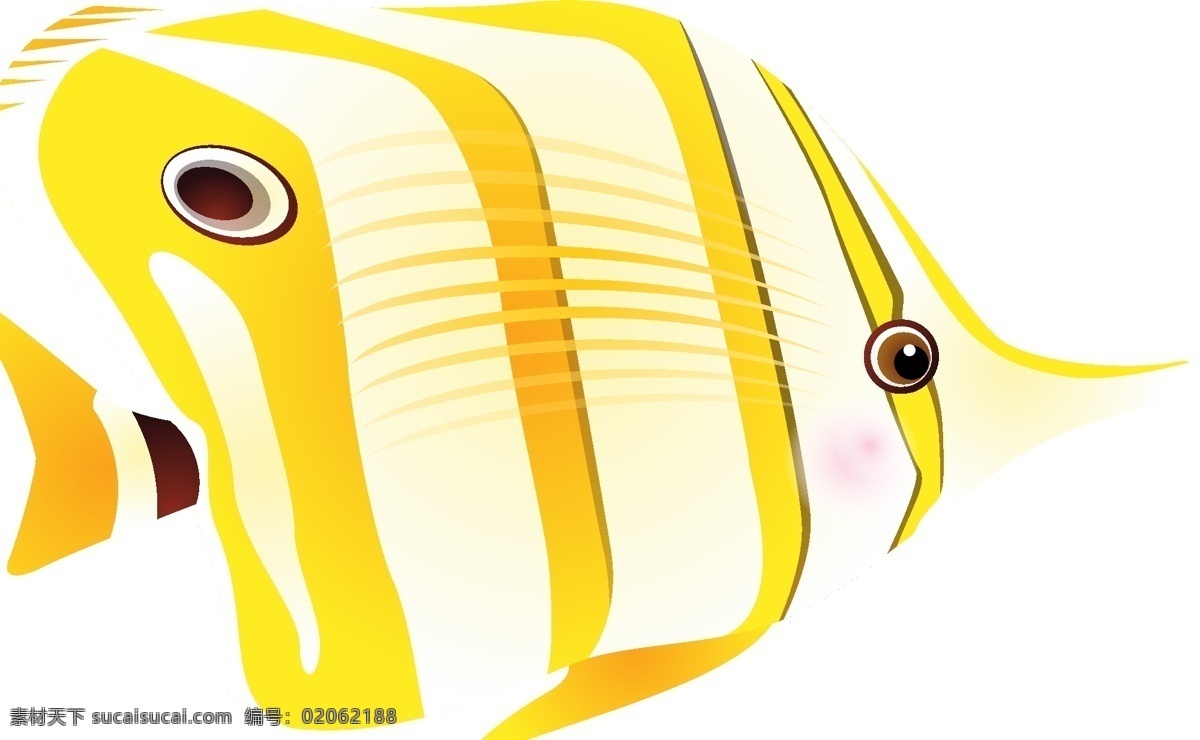 热带鱼矢量 鱼 热带鱼 海 异国情调的鱼 长鼻子 蝴蝶鱼 条纹 生物世界 鱼类