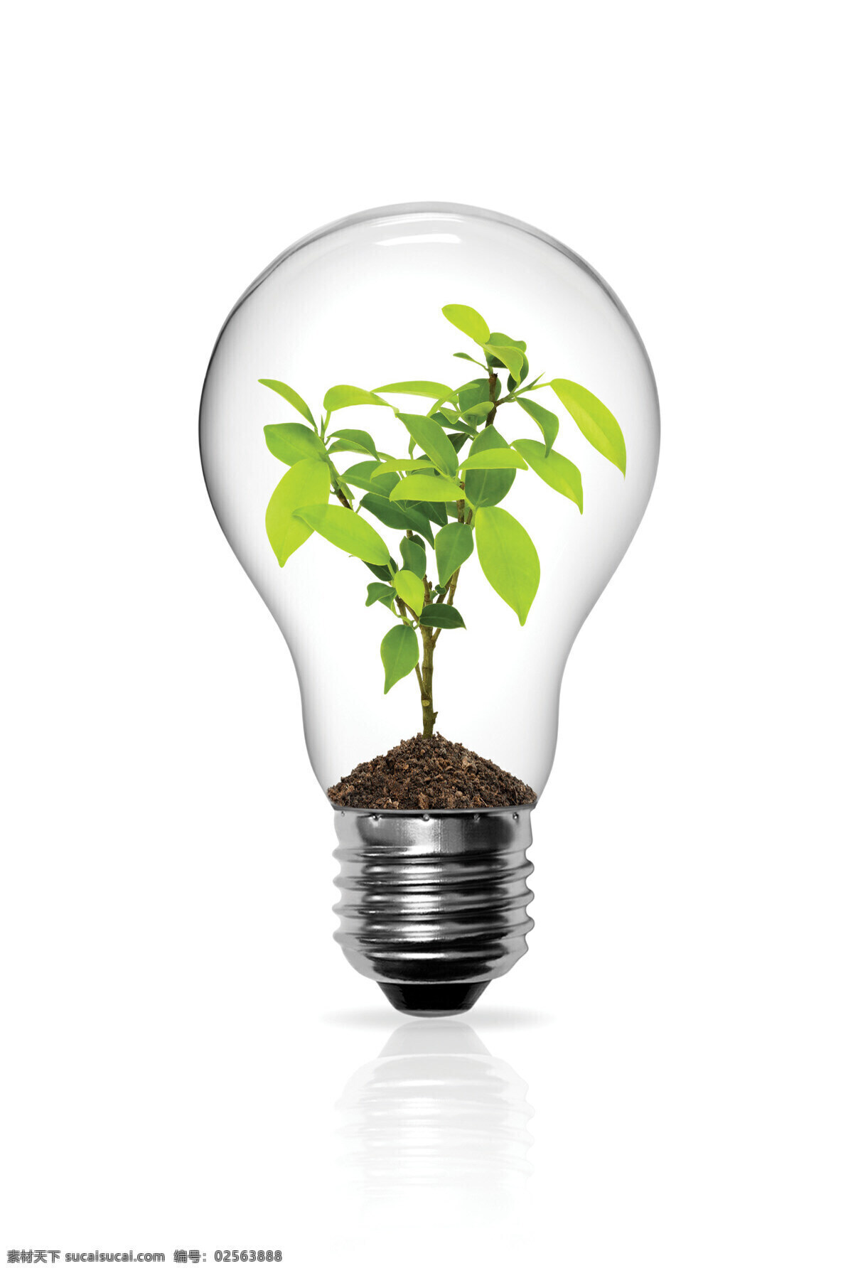 创意 环保 海报 灯泡 树叶 公益 合成素材 绿色 自然 企业形象图