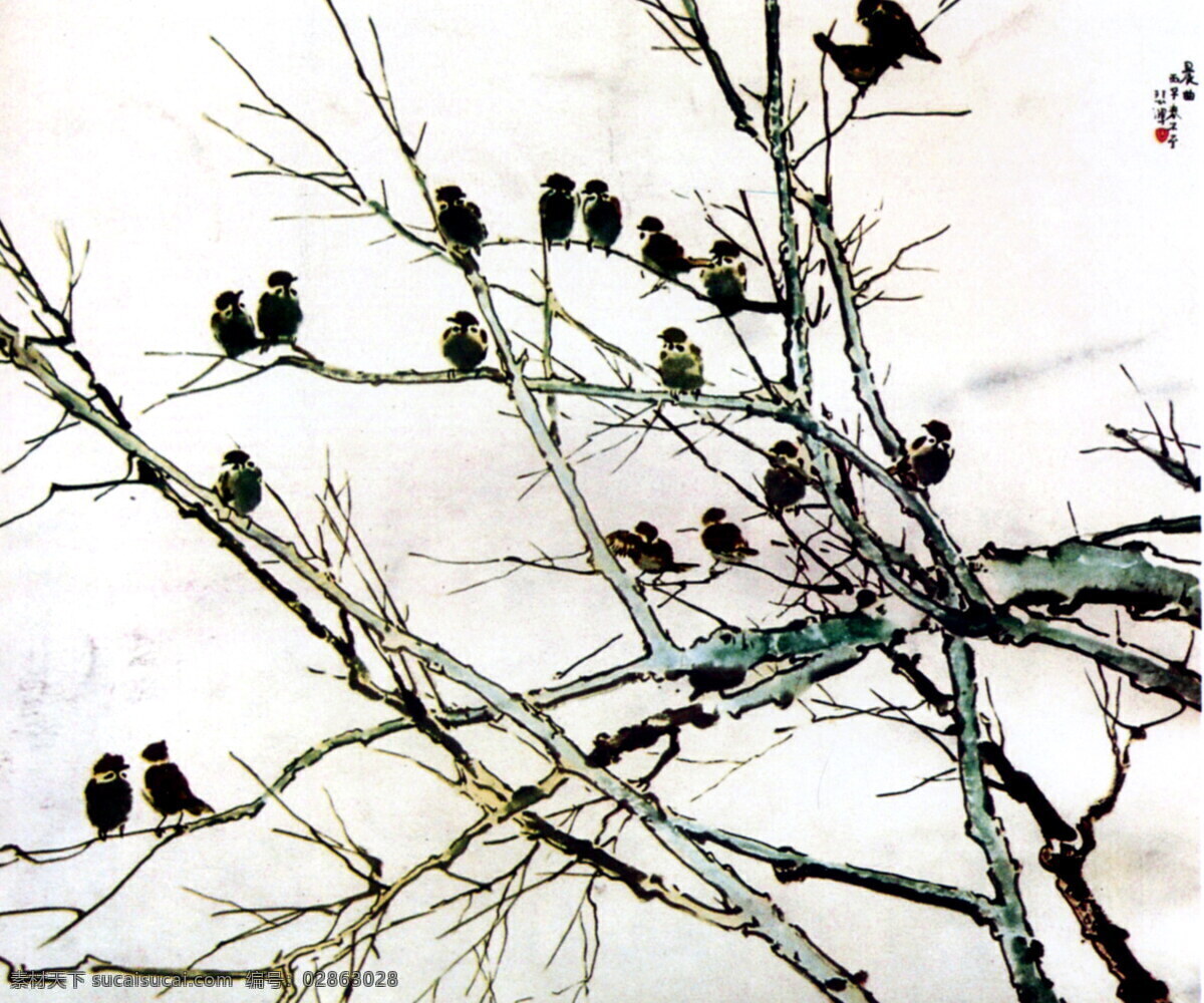 晨曲国画 晨曲 花鸟画 中国画 设计素材 花鸟画篇 中国画篇 书画美术 白色