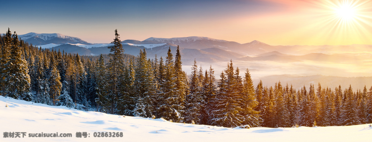 自然风光 摄影图片 松树 植物 阳光 高山 雪景 雪地 景观 景区 冬天 冬季 底纹背景 山水风景 风景图片