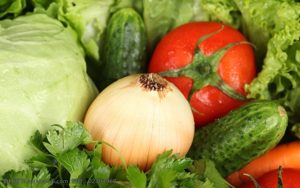 洋葱 西红柿 蕃茄 生菜 黄瓜 包菜 卷心菜 香菜 蔬菜 新鲜蔬菜 蔬菜水果 生物世界