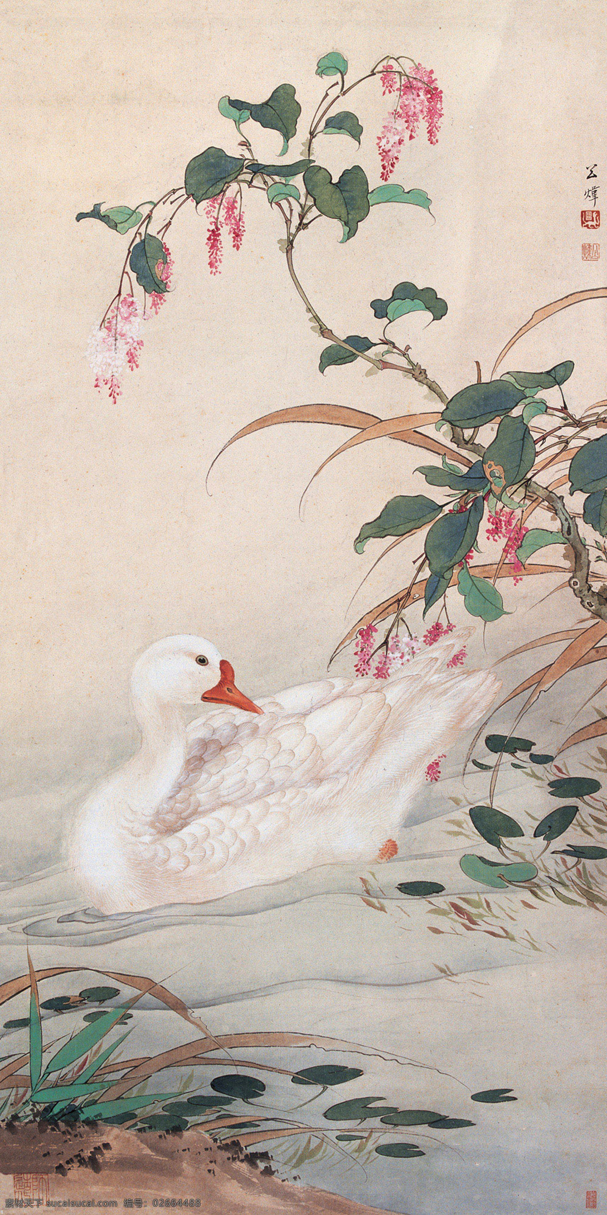 红蓼白鹅 国画 田世光 红蓼 白鹅 花鸟 传统绘画 绘画书法 国画田世光 文化艺术