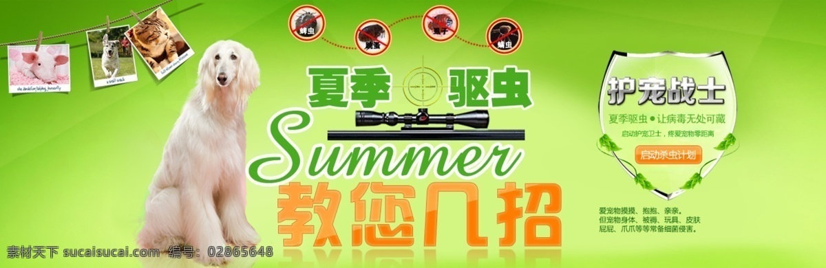 淘宝 首页 轮 播 驱虫 夏季 狗 专页 促销海报 狗狗 广告图 轮播图 夏季驱虫 杀虫 淘宝素材 淘宝促销标签