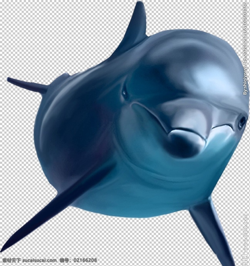 海豚图片 海豚 江豚 png图 透明图 免扣图 透明背景 透明底 抠图 生物世界 海洋生物