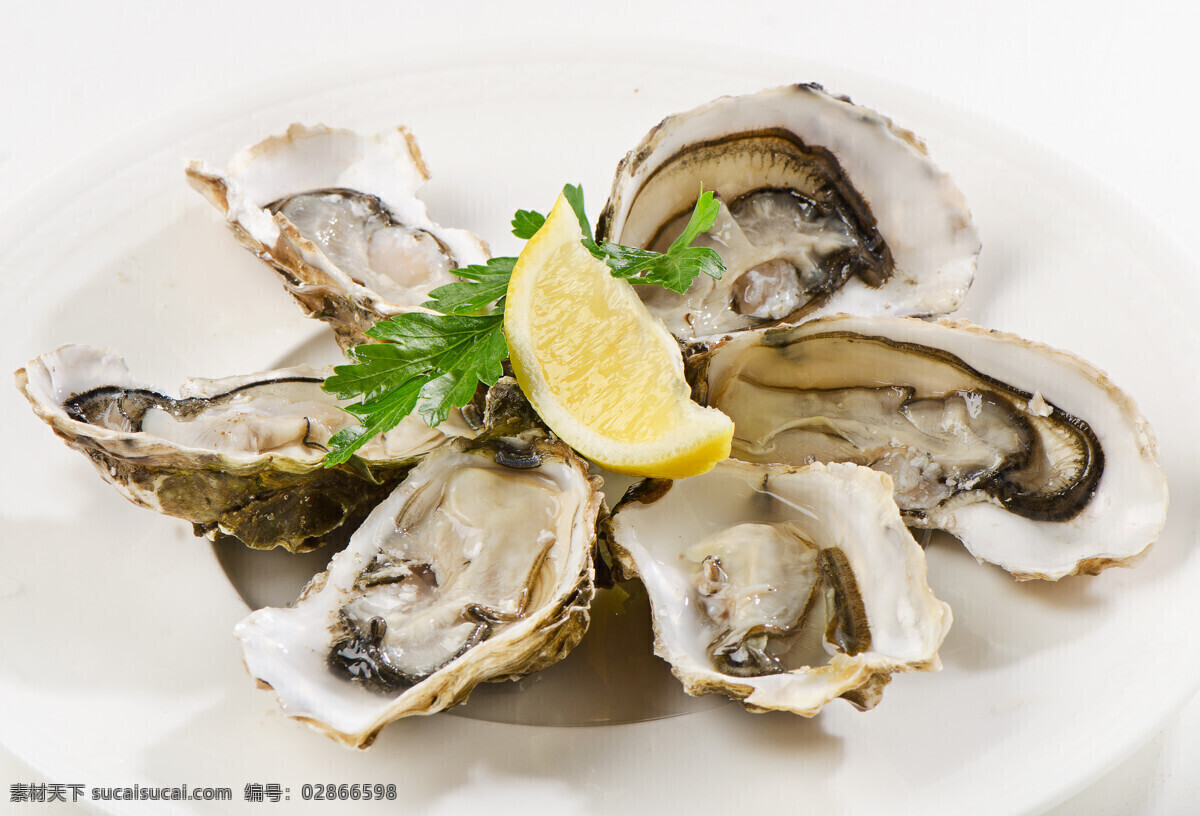 生蚝 牡蛎 海鲜 海产贝壳 海产品 美食摄影 餐饮美食 传统美食