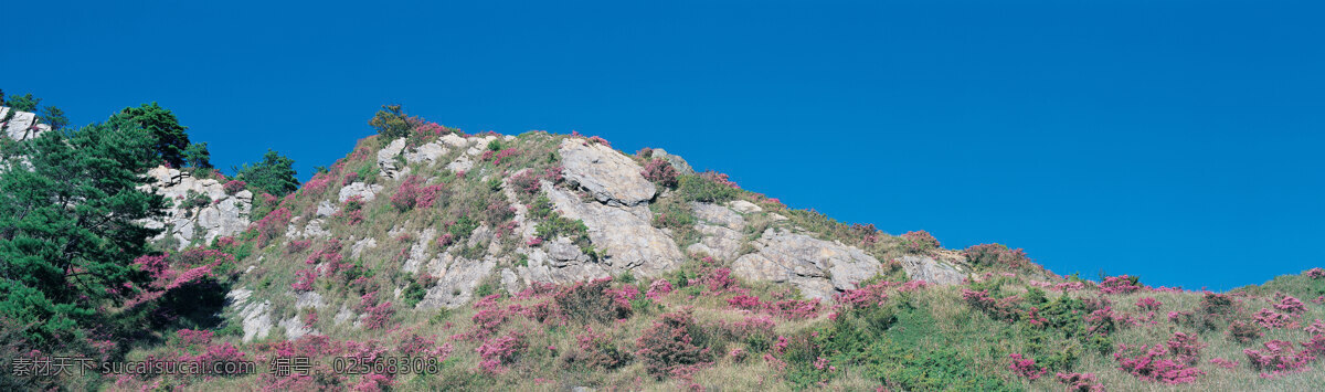 山 花 石头 蓝天 白云 高山 航拍 远眺 大幅 自然景观 风景 景观 景色 自然景色 花草树木 自然风光 自然 大自然 全景 自然风景