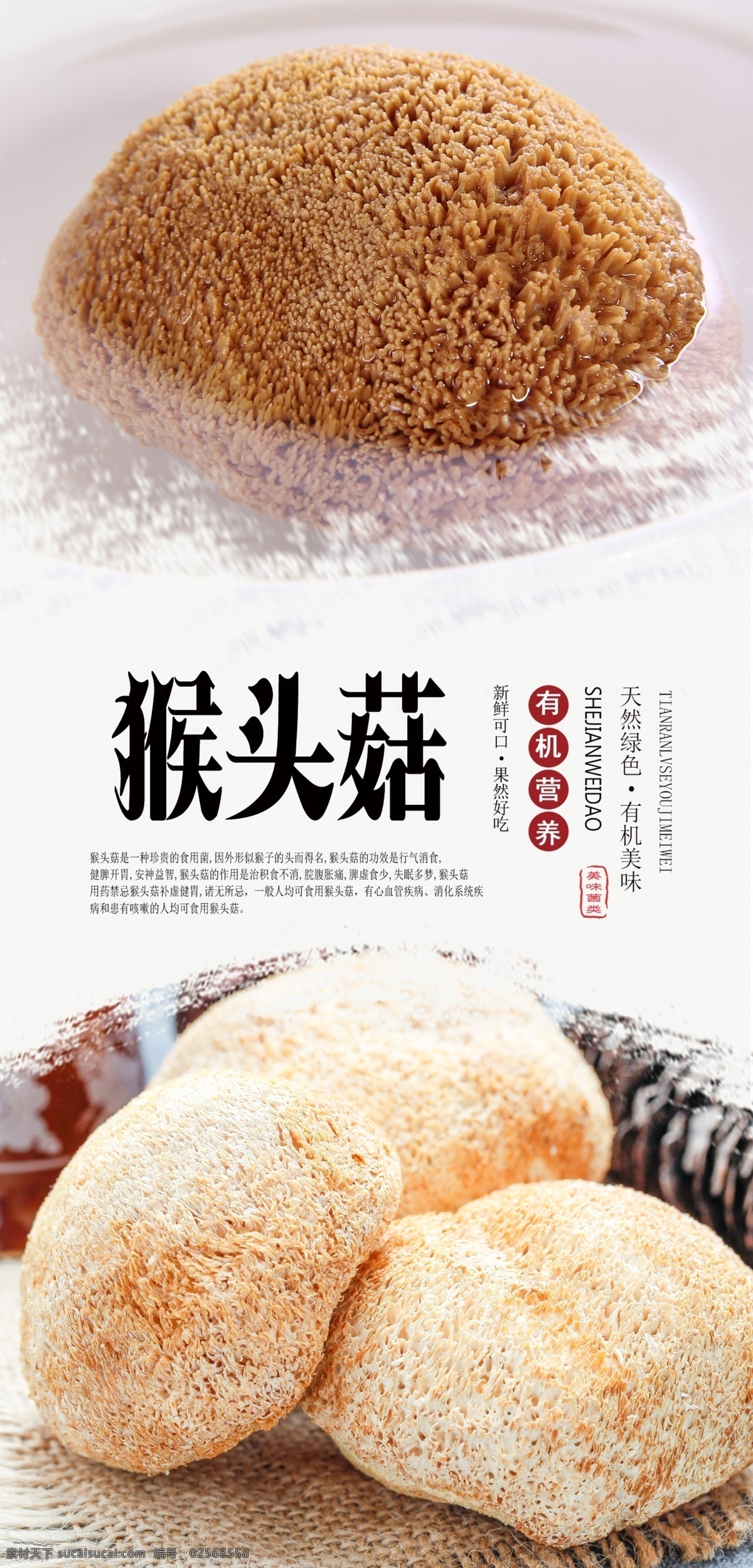 猴头菇海报 新鲜 天然 有机 营养 绿色 无公害 蔬菜 菌类