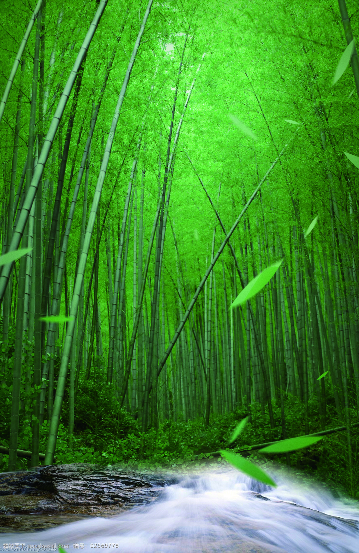 竹林 树 绿 风景 树木 小溪