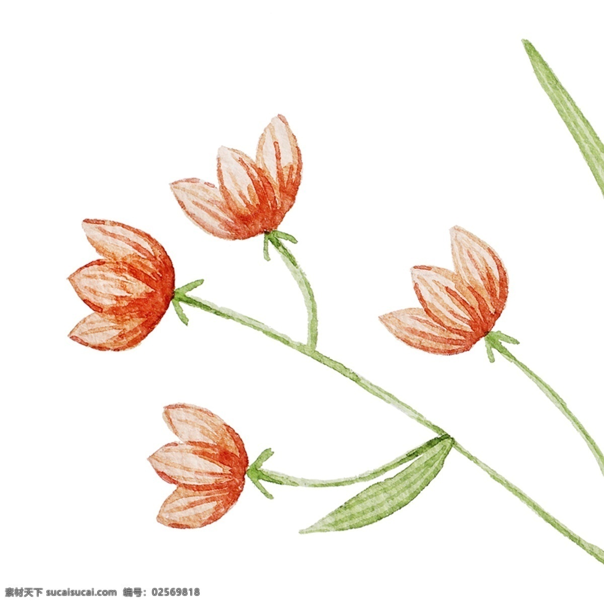 透明 背景 花儿 图案 元素 花 简约 手绘