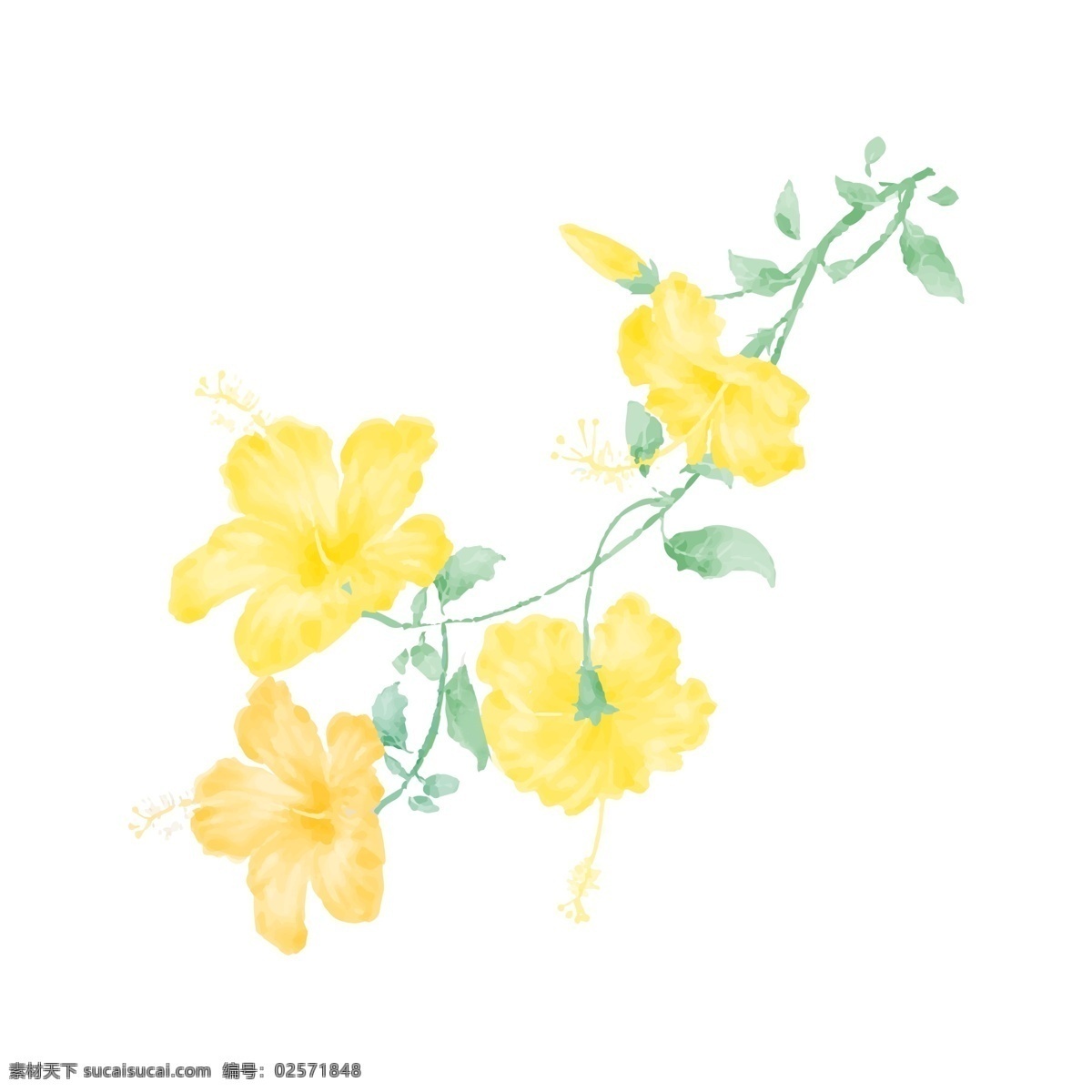花 唯美 插画 手绘 元素 商用 水墨 黄色 植物