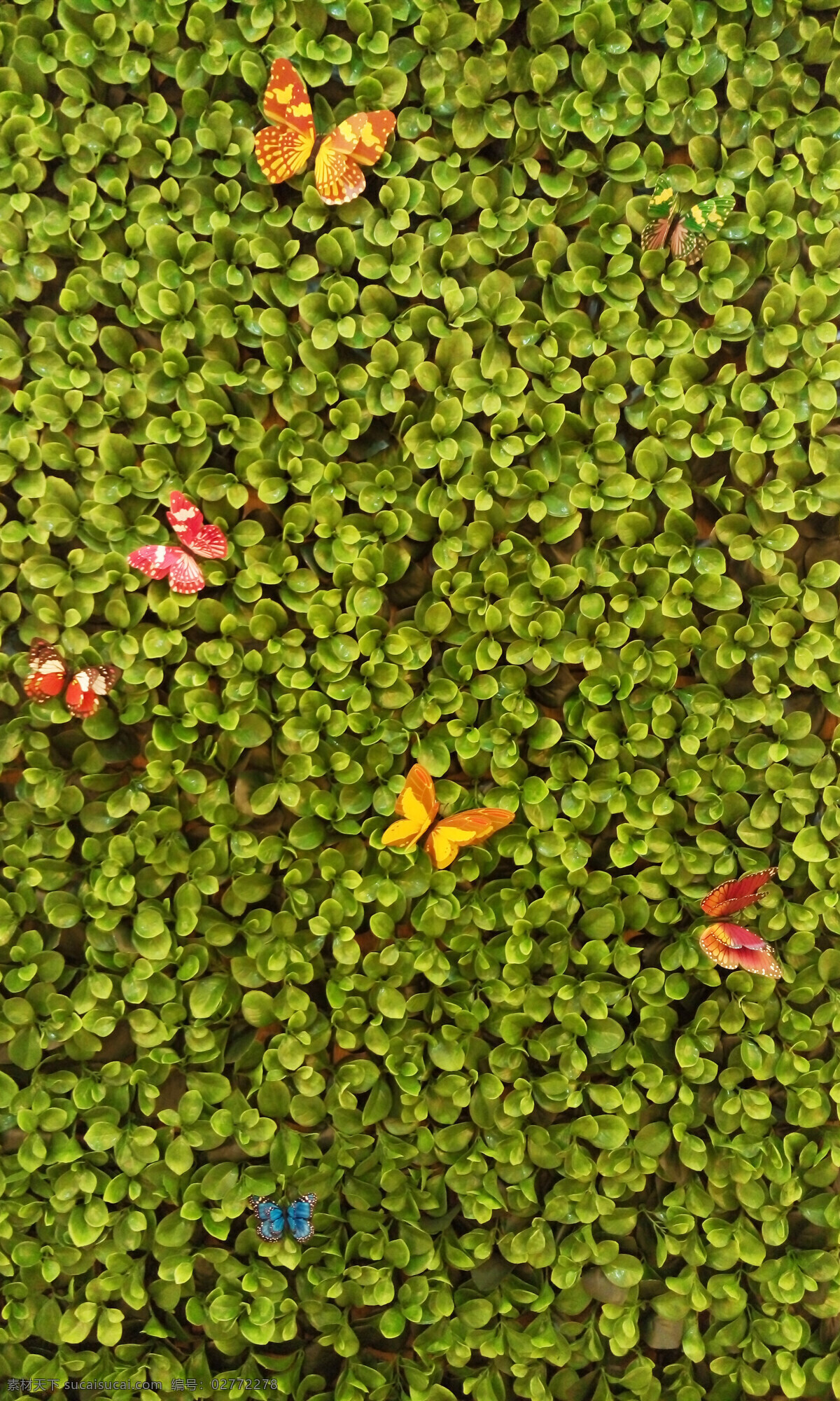 仿真树叶墙 园林 景观 墙面 仿真树叶 仿真蝴蝶 树叶 蝴蝶 绿色 植物 生物世界 花草