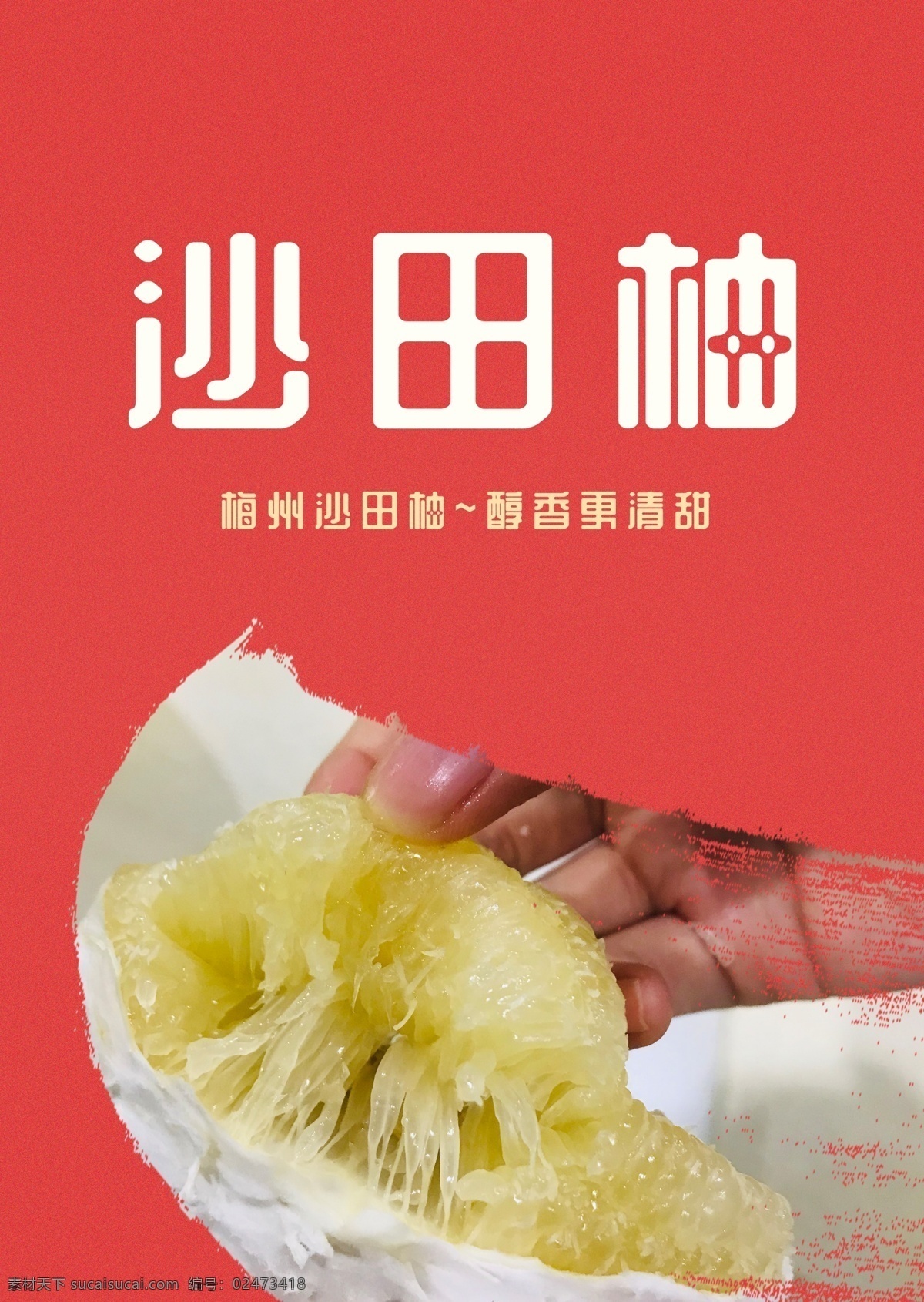 沙田柚 柚子 笔刷素材 红色背景 纯甜 分层