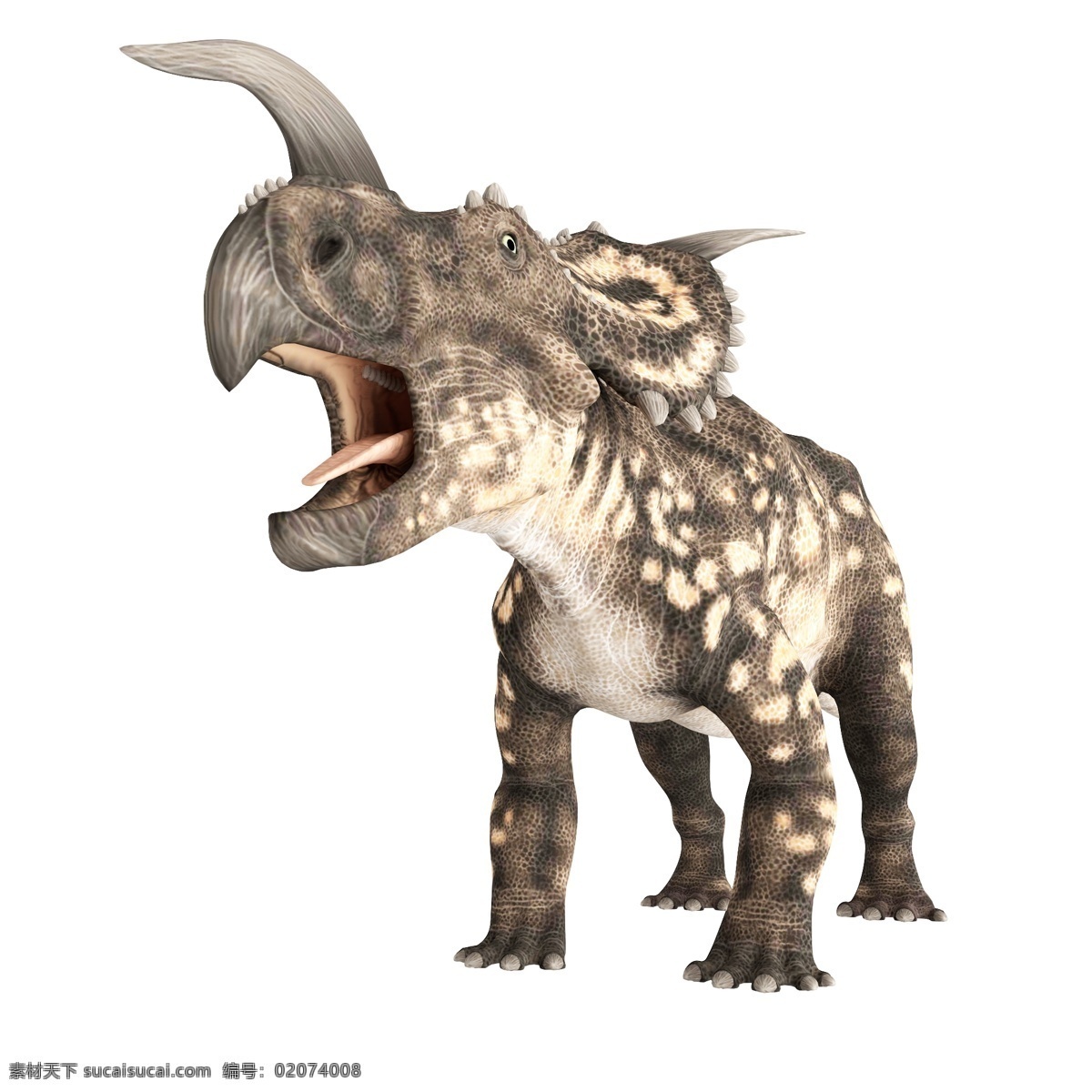 立体 恐龙 灰色 立体恐龙 灰色恐龙 动物 立体动物 灰色动物 凶猛恐龙 凶猛动物 凶猛