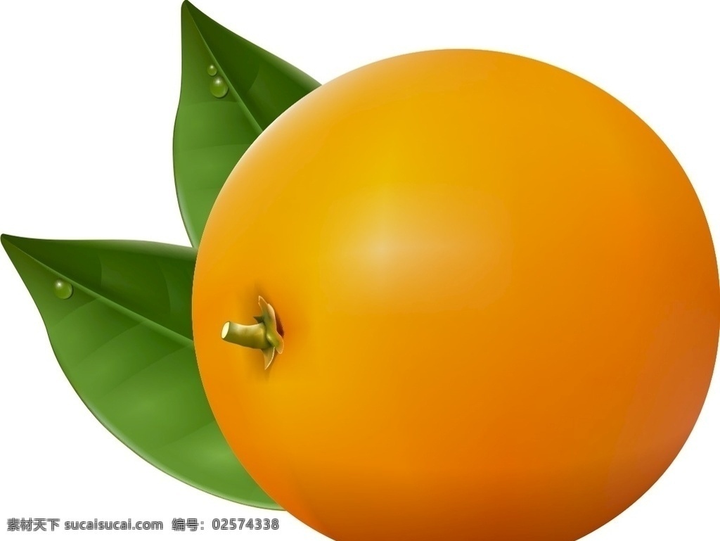 橙子橘子 水果主题 手绘水果 矢量 水果 水果素材 新鲜水果 矢量水果素材 卡通水果素材 卡通水果 橙子 橙汁 横切面 香橙 橙子矢量图 橘子 柑橘 甜橙 桔子 橙子图片 卡通橙子素材 卡通橙子 切开的橙子 橙子素材 矢量橙子素材 矢量橙子 手绘橙子