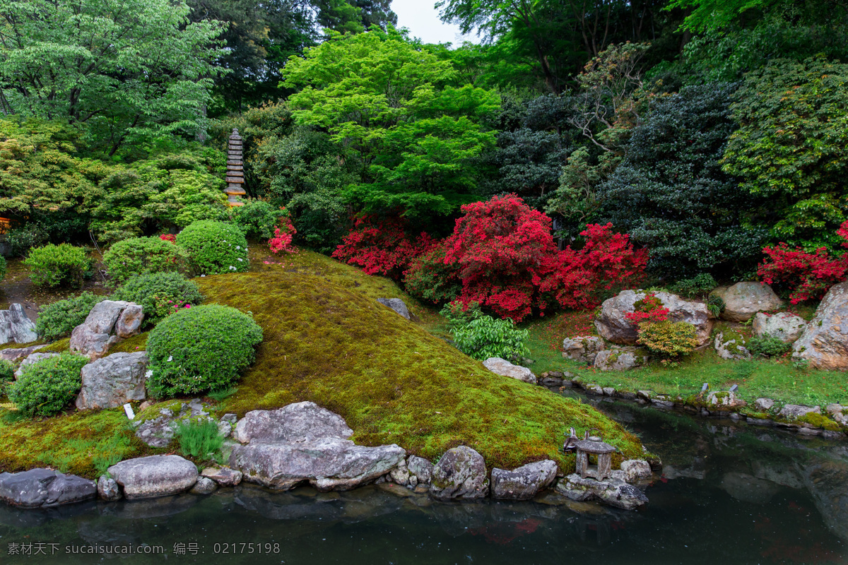美丽水池风景 日本花园风景 水池风景 日本风光 美丽风景 公园景色 公园风景 花园美景 自然风景 自然景观 黑色