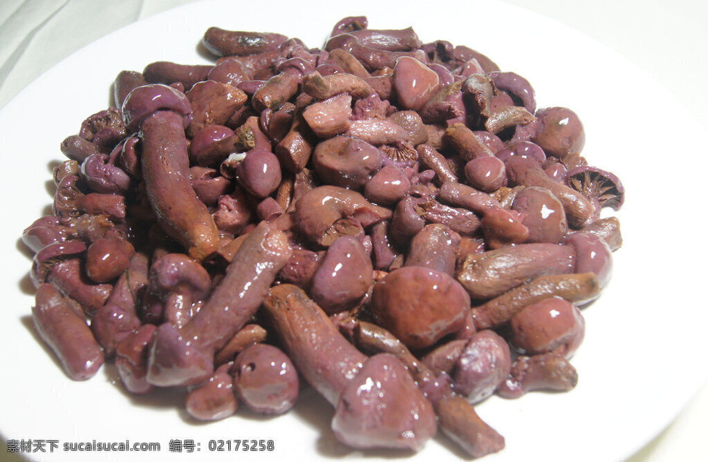 紫蘑菇 蘑菇 大型真菌 传统美食 餐饮美食