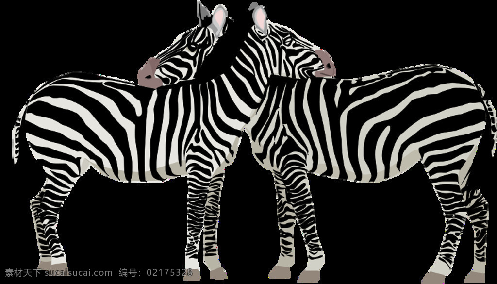 动物 cebra 自然的 自然 斑马 svg 黑色