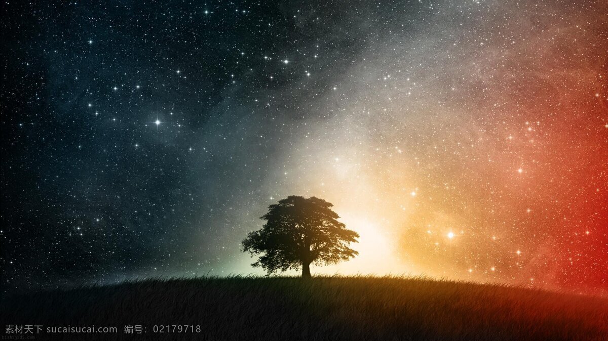 灿烂 星空 下 遐想 孤独 树 背景图片