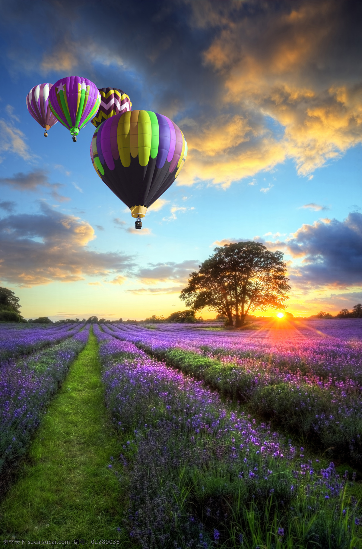 浪漫土耳其 土耳其热气球 薰衣草 蓝天 天空 夕阳 金色阳光 气球 自然景观 田园风光