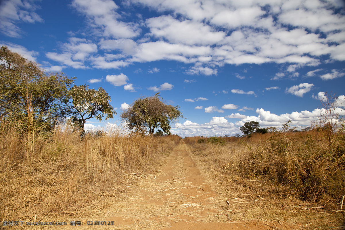 领略 非洲 异域风情 荒草 非洲草原 枯树 蓝蓝的天空 白云 山水风景 风景图片