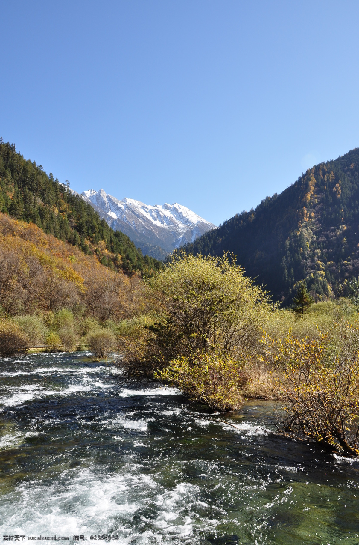 九寨沟 高山 河水 雪山 树木 山峰 自然风景 旅游摄影