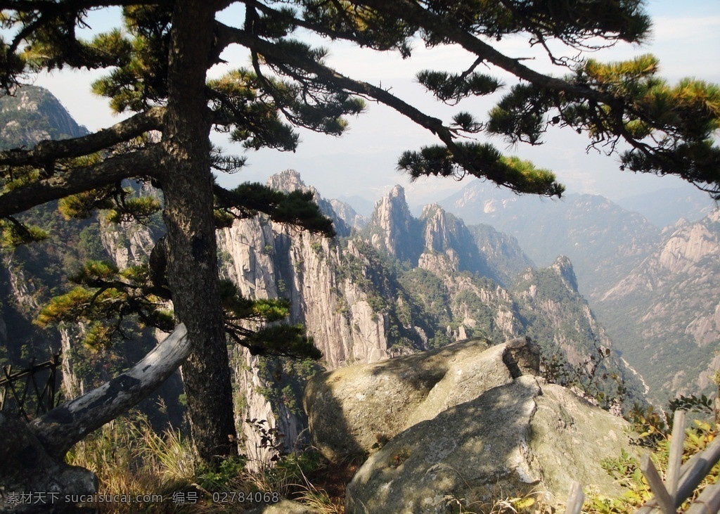 黄山 黄山风景 山 石 迎客松 绿树 风景名胜 自然景观 国内旅游 旅游摄影 安徽黄山风景