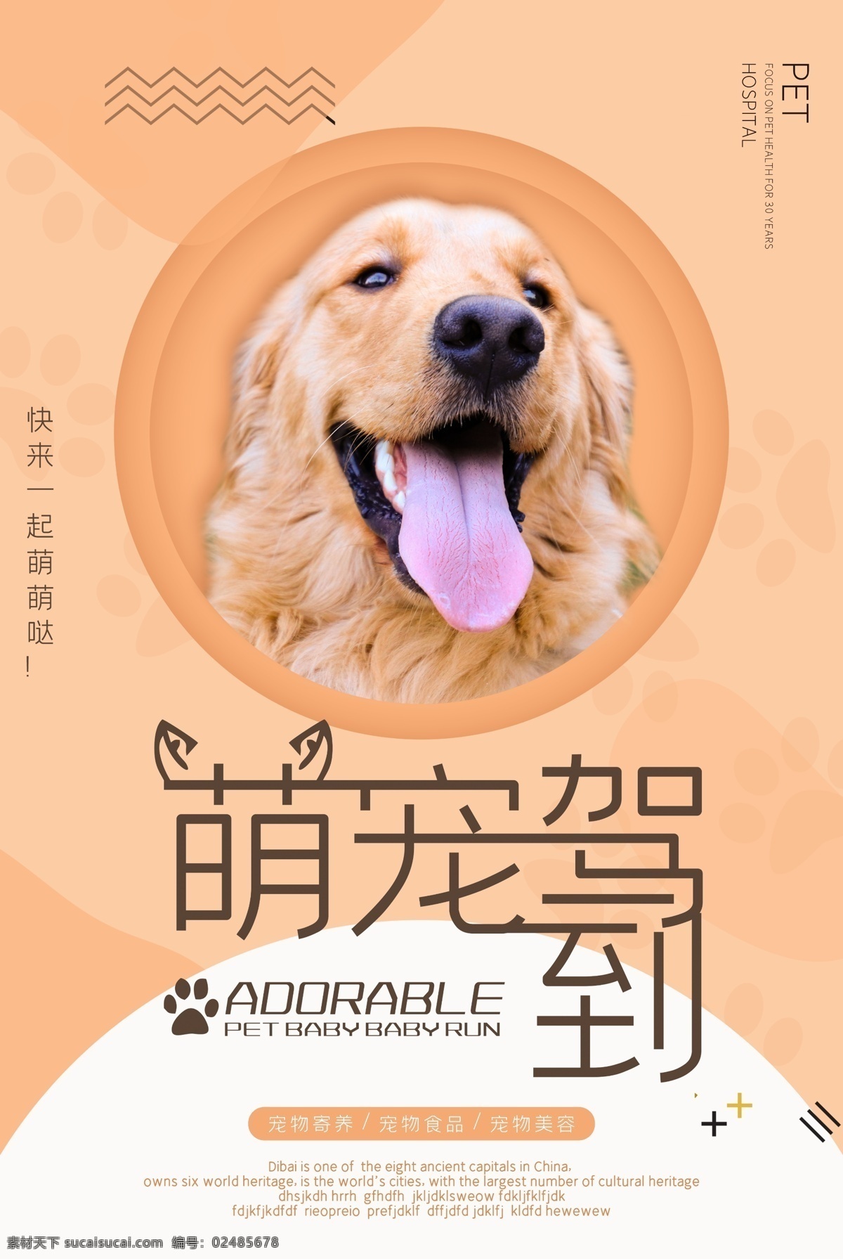 萌宠驾到 宠物 萌宠 宠物店海报 宠物广告宣传 宠物活动海报 网上宠物店 宠物店店铺 店铺装修 宠物店店招 宠物生活馆 宠物店开张 宠物服饰 宠物美容 宠物寄养 宠物日用品 淘宝宠物店 淘宝宠物素材 淘宝宠物首页 淘宝宠物活动 宠物店展板 矢量猫 动物 产品宣传 宠物海报