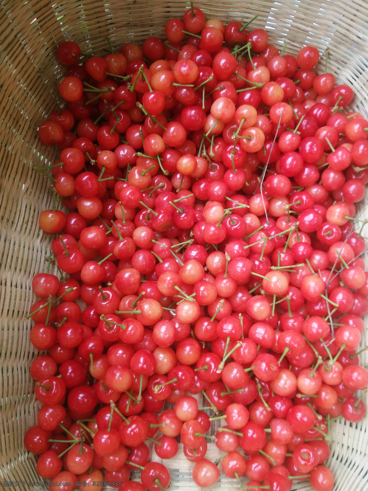 樱桃图片 红樱桃 红果子 竹篮 甜美 乡间红果 生物世界 水果