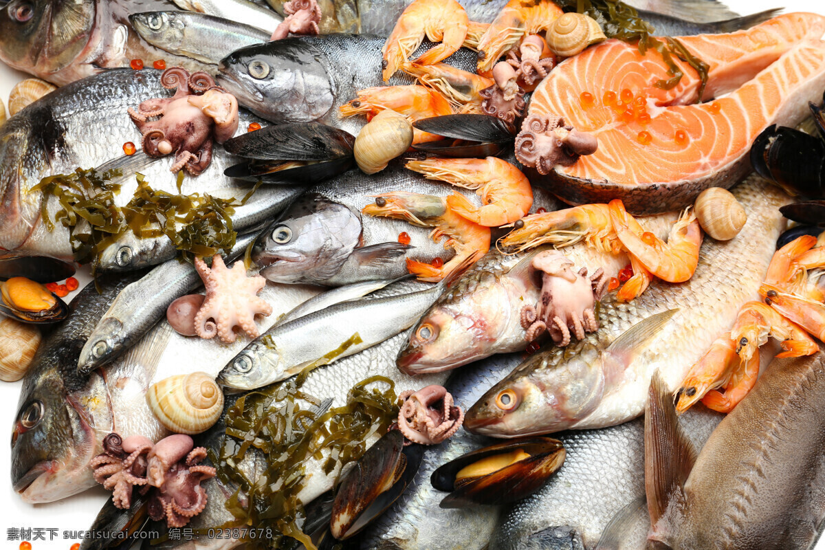 堆 海鲜 产品 三文鱼 海鱼 海洋生物 香料 调料 食物原料 食材原料 食物摄影 餐饮美食