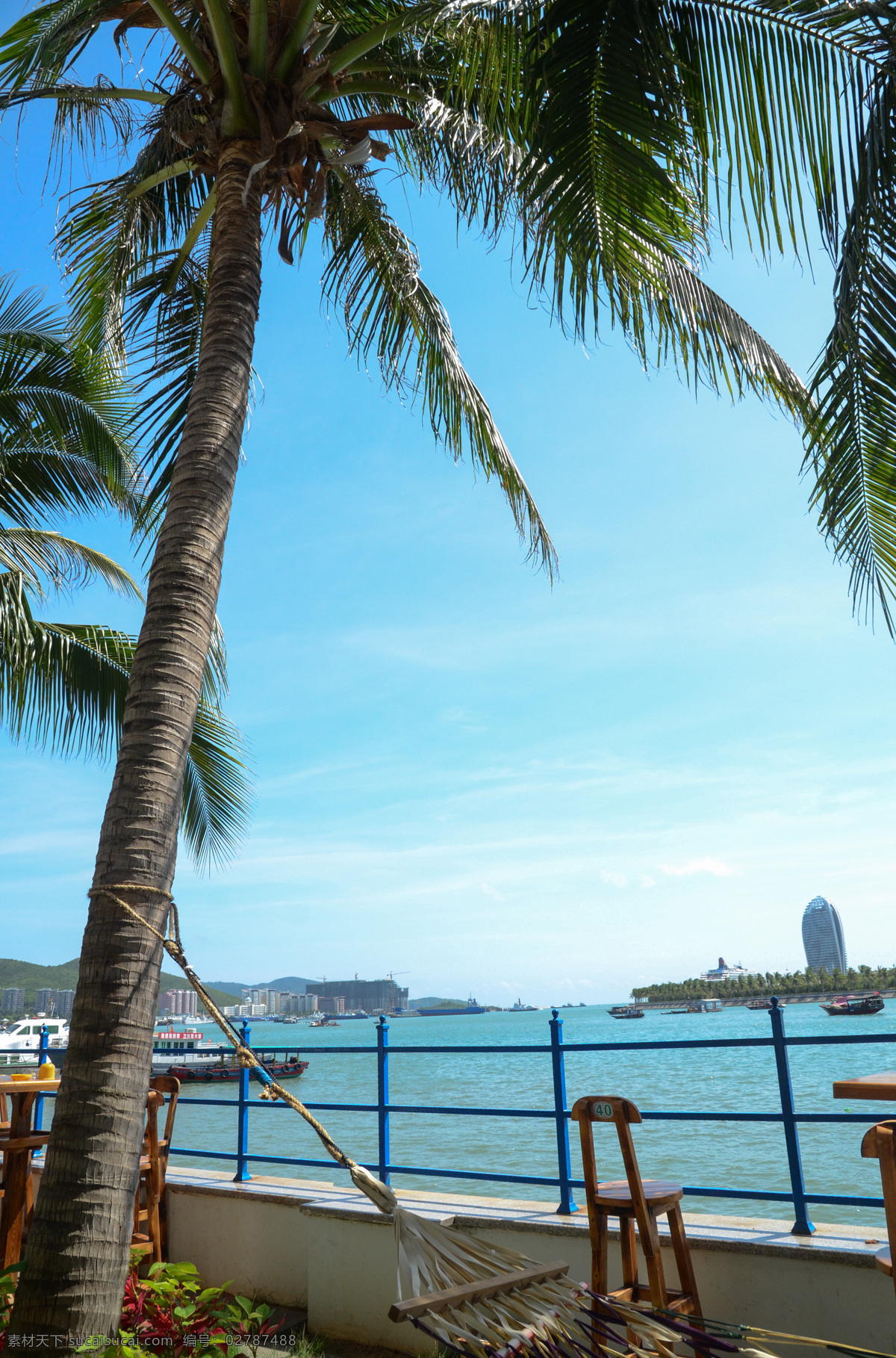 椰子树 白云 大海 公路 国内旅游 海边 海景 蓝天 旅游摄影 三亚 云彩 凤凰岛 椰林 风景 生活 旅游餐饮