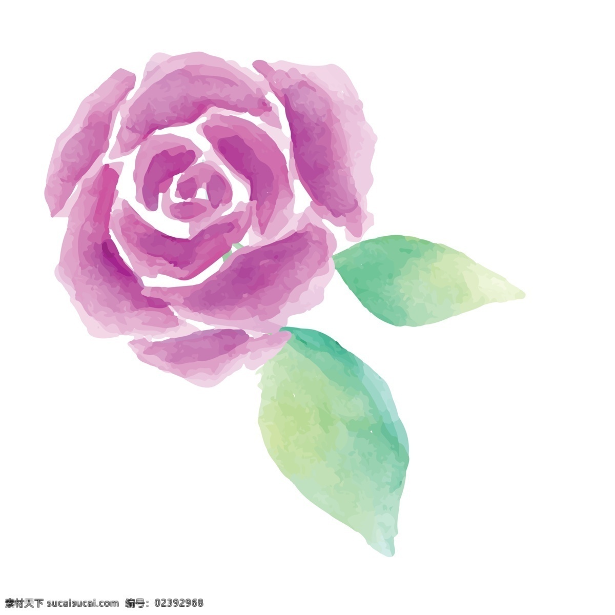紫色 的卡 通 玫瑰 免 抠 图 卡通 玫瑰花 紫色的花朵 玫瑰免抠图 花朵