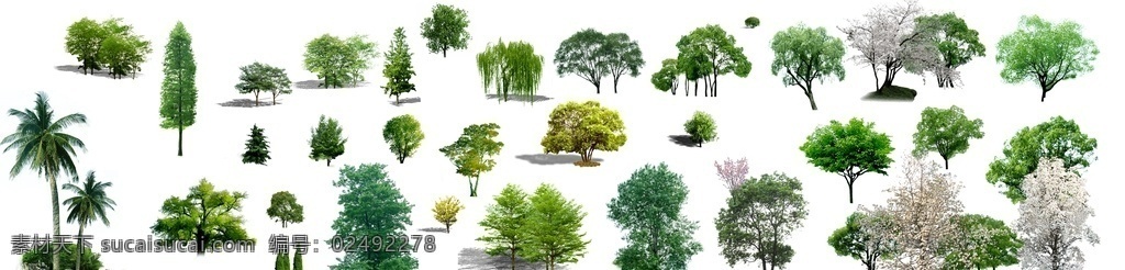 鸟瞰树 树 树素材 鸟瞰素材树 树的鸟瞰景 分层 环境设计 室内设计