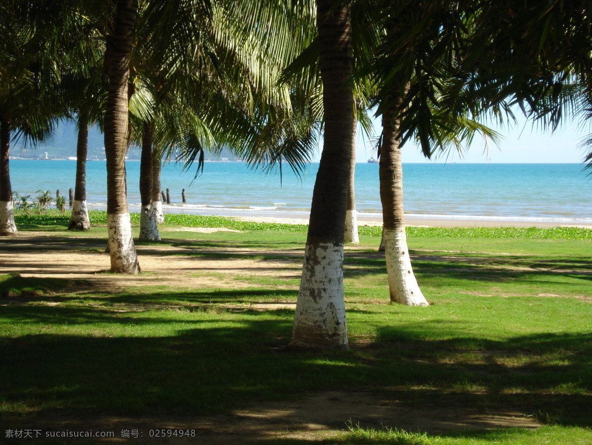 椰风 大海 国内旅游 海边 海滩 旅游摄影 三亚 摄影图库 psd源文件