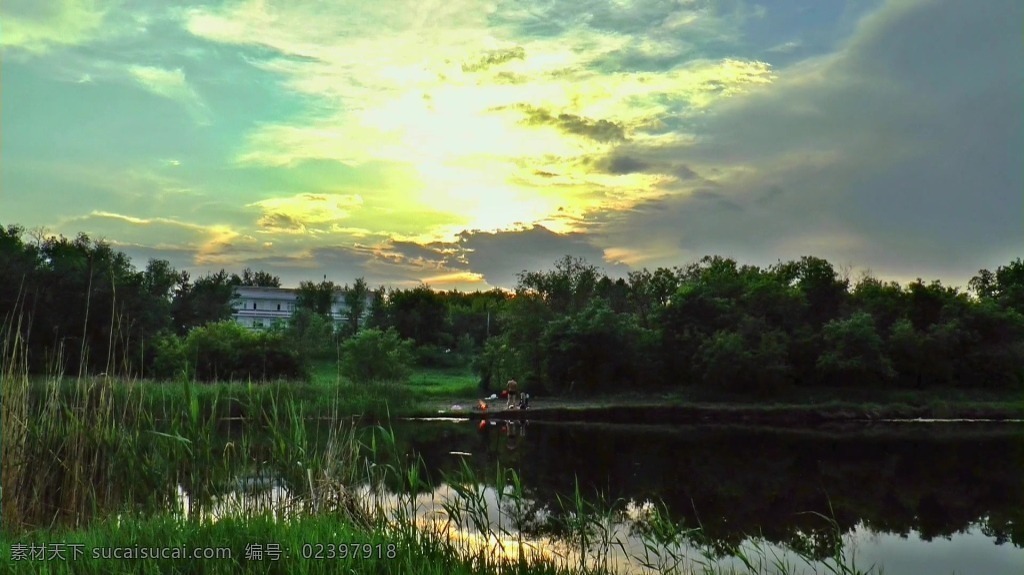 阳光 下 大自然 视频 视频背景 合成视频 活动视频背景 合成视频背景 视频素材 视频模版 大自然视频 湿地