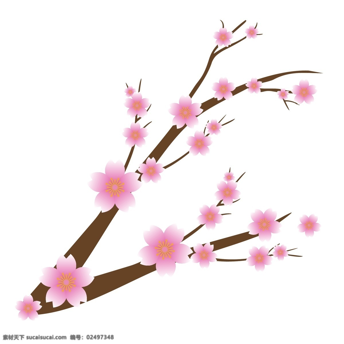 春天 粉色 樱花 插画 粉色的樱花 春天的樱花 卡通插画 鲜花插画 花朵插画 花瓣插画 樱花插画