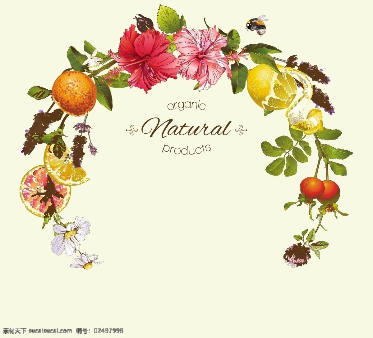 水果 矢量 背景 橘子 花朵 石榴 几何背景 几何图案 源文件